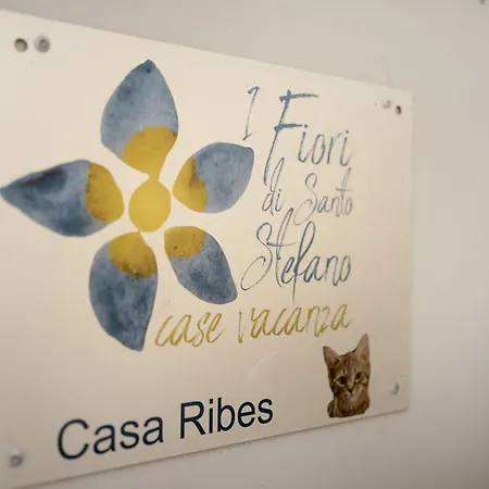 Casa Ribes